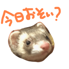[LINEスタンプ] てまきちゃんすたんぷ①