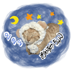 [LINEスタンプ] ちゅなたん1