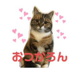 [LINEスタンプ] ろんじスタンプ2020