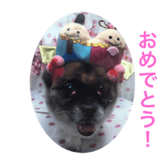 [LINEスタンプ] それゆけチータ