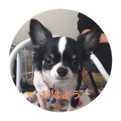 [LINEスタンプ] ラブノア