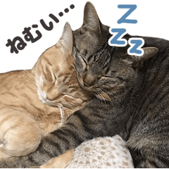 [LINEスタンプ] nono＆mimi