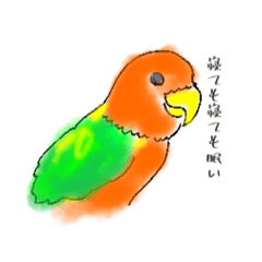 [LINEスタンプ] インコちゃんすたんぷ