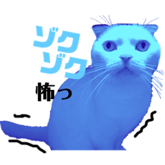 [LINEスタンプ] 白猫の夏物語ニャ