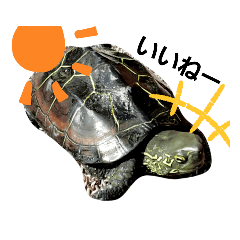 [LINEスタンプ] onionの日課