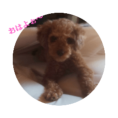 [LINEスタンプ] ロイ1
