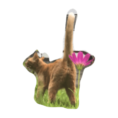 [LINEスタンプ] 猫のめいちゃん