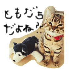 [LINEスタンプ] Tomと愉快な仲間たち