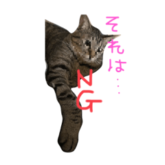 [LINEスタンプ] ころまこスタンプ