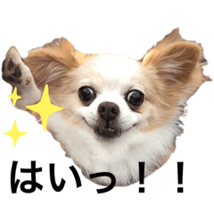 [LINEスタンプ] ラキ男2