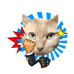 [LINEスタンプ] maromaro！