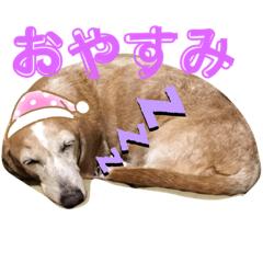 [LINEスタンプ] いつものまりんちゃん