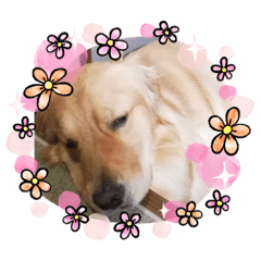 [LINEスタンプ] 愉快な怜央16