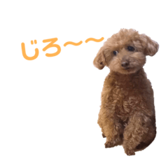 [LINEスタンプ] 天使ーズ❤️