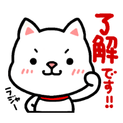 [LINEスタンプ] 白柴好きのスタンプ