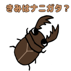 [LINEスタンプ] ダジャレクワガタスタンプ