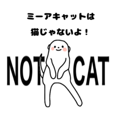 [LINEスタンプ] ミーアキャットのぴーちゃん