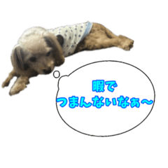 [LINEスタンプ] SashiharaYui/指原結