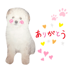 [LINEスタンプ] わんこのぽむちゃん