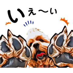 [LINEスタンプ] アメコカ・ジェイムス②