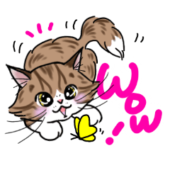 [LINEスタンプ] たろふくこころん シンプル英語スタンプ