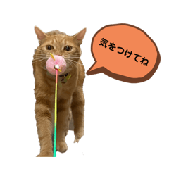[LINEスタンプ] みかおかスタンプ