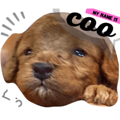 [LINEスタンプ] COO day19