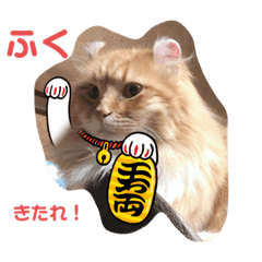 [LINEスタンプ] Ryoryo's pet's 4part2