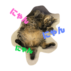 [LINEスタンプ] チーちゃんスタンプseries②