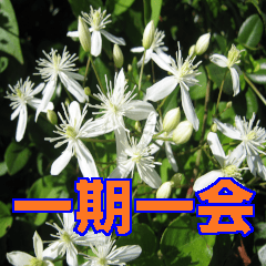 [LINEスタンプ] 街中の植物で会話 2