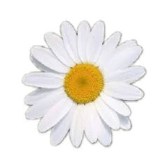[LINEスタンプ] はな花はな