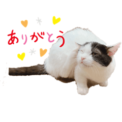 [LINEスタンプ] たけ＆たまスタンプ