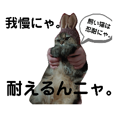 [LINEスタンプ] にゃんきちすたんぷ2