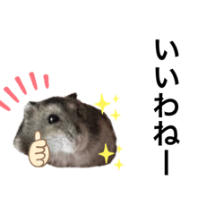 [LINEスタンプ] ちびハムちゃん3