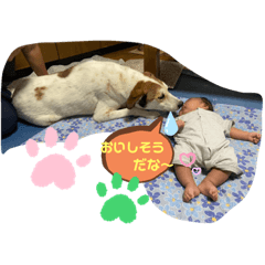 [LINEスタンプ] 耀と愉快な仲間たち