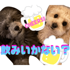 [LINEスタンプ] NOCOとSENA