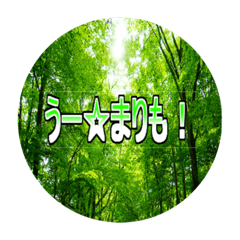 [LINEスタンプ] ひな抹茶リッチ迷言スタンプ