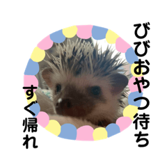 [LINEスタンプ] ハリネズミ♡びび