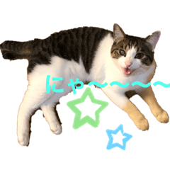 [LINEスタンプ] みにくぅ〜スタンプ★