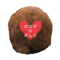 [LINEスタンプ] おはぎのきもち