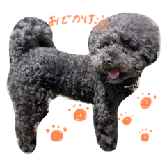 [LINEスタンプ] かぼごま