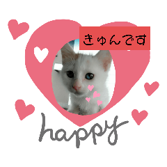 [LINEスタンプ] 我が家のわさびのあいさつ