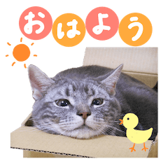 [LINEスタンプ] ジジ スタンプ