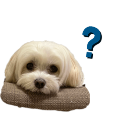[LINEスタンプ] 自由なゆなちゃん。