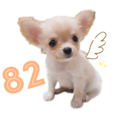 [LINEスタンプ] はにースタンプ①
