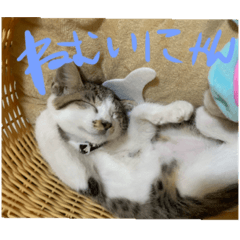 [LINEスタンプ] うるうる