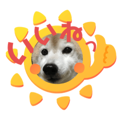 [LINEスタンプ] まめしばりん 2
