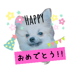 [LINEスタンプ] 残したい物