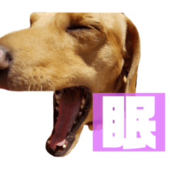 [LINEスタンプ] 愛犬ライくんのスタンプ
