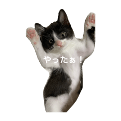 [LINEスタンプ] くぅちゃんとまりーちゃんの日常